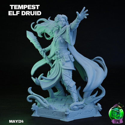 Elf Druid, Tempest, Magic Nature | Tabletop Gaming Miniature | TPKLab