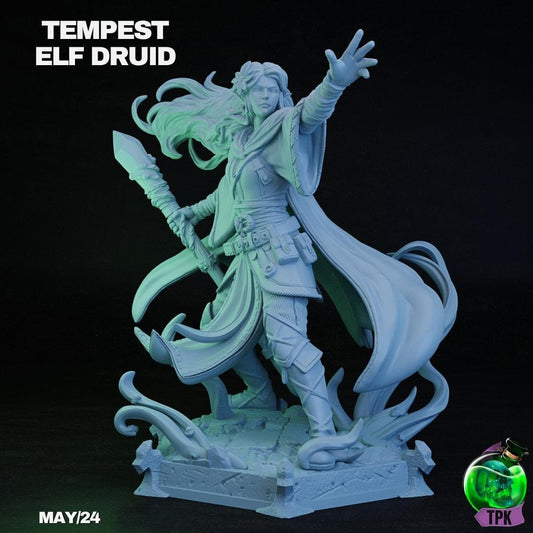Elf Druid, Tempest, Magic Nature | Tabletop Gaming Miniature | TPKLab