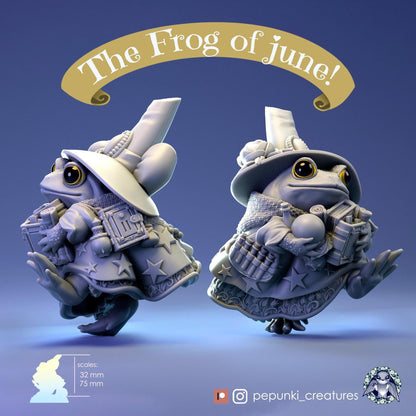 Tomato Frog Wizard | Tabletop or Display Scale | D&D Humblewood TTRPG Miniature | Pepunki Creatures