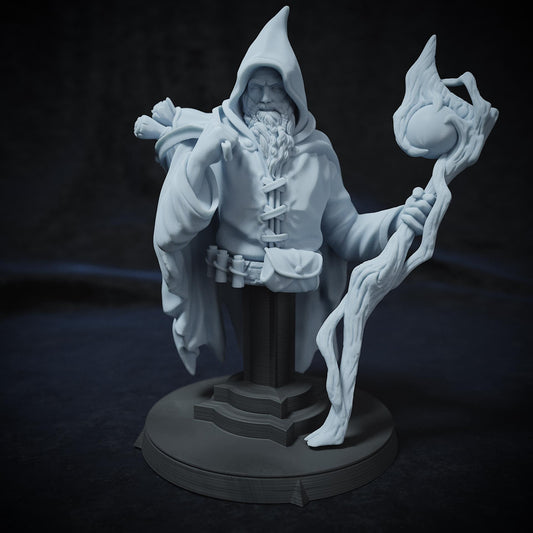 Karadin Genly, Wizard Druid | Tabletop, Display Scale, Bust | TTRPG D&D Miniature | Cripta Studios