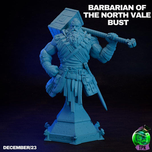 Barbarian of the North Vale | Tabletop Gaming Mini or Bust | TPKLab