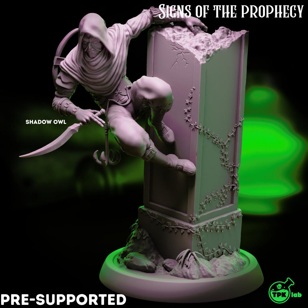 Dark Fox & Shadow Owl, Rogues Assassins | Tabletop Gaming Miniature | TPKLab