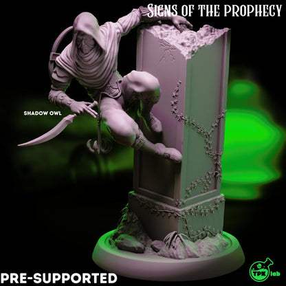 Dark Fox & Shadow Owl, Rogues Assassins | Tabletop Gaming Miniature | TPKLab