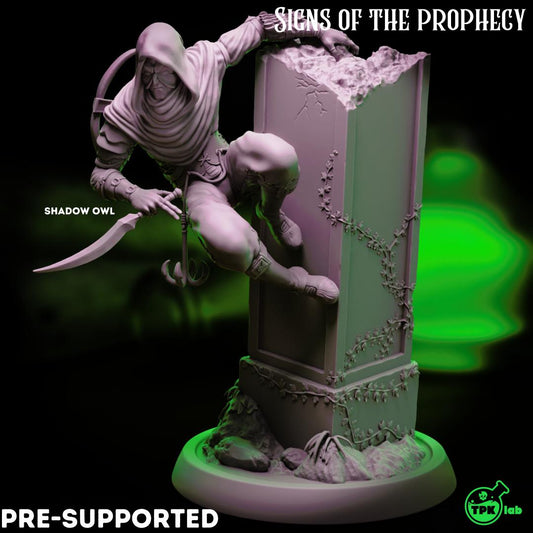 Dark Fox & Shadow Owl, Rogues Assassins | Tabletop Gaming Miniature | TPKLab