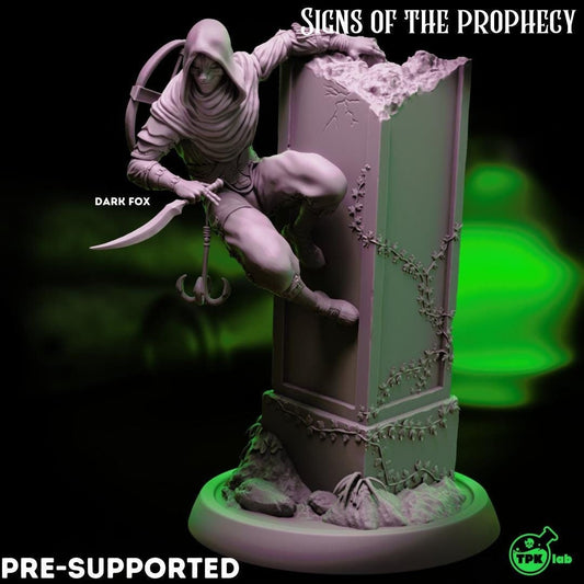 Dark Fox & Shadow Owl, Rogues Assassins | Tabletop Gaming Miniature | TPKLab