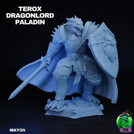 Dragonborn Paladin Terox | Tabletop Gaming Mini or Bust | TPKLab