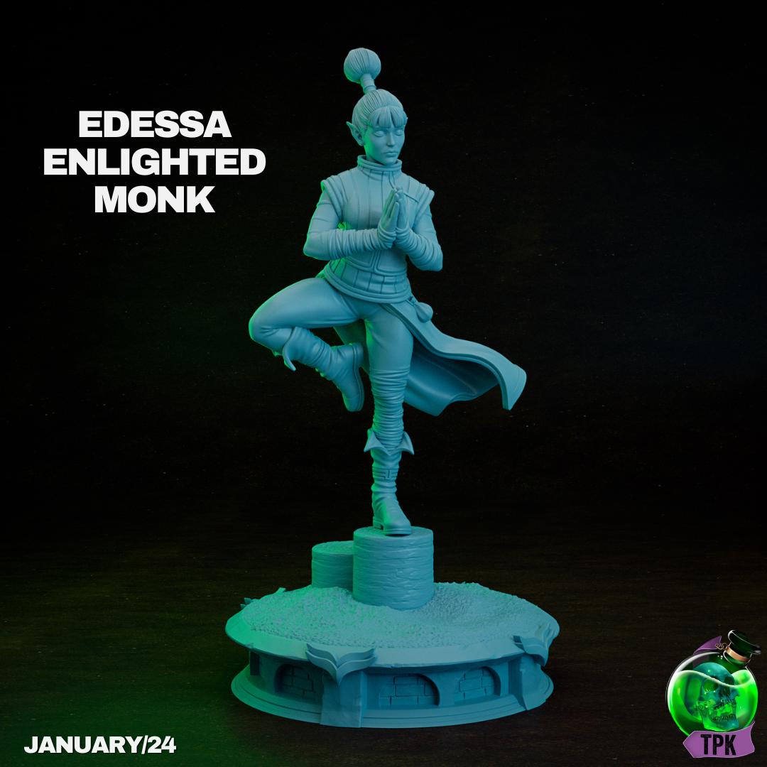 Edessa, Enlightened Monk Elf Martial Artist | Tabletop Gaming Miniature | TPKLab