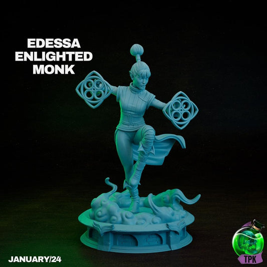Edessa, Enlightened Monk Elf Martial Artist | Tabletop Gaming Miniature | TPKLab