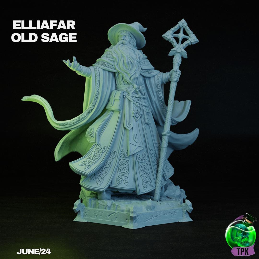 Elliafar, Old Sage Wizard | Tabletop Gaming Miniature | TPKLab