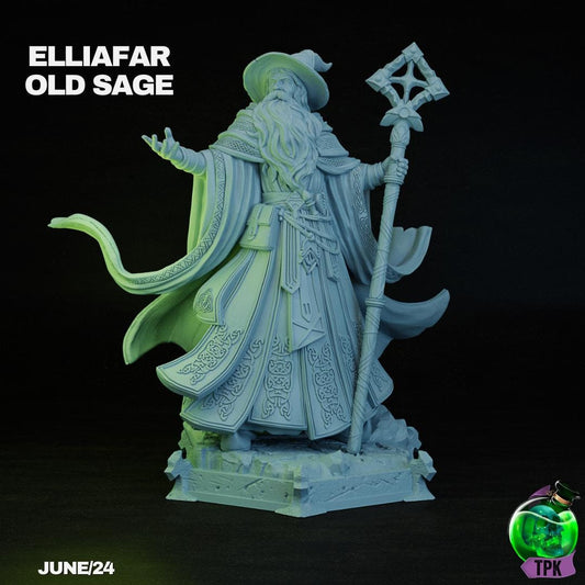 Elliafar, Old Sage Wizard | Tabletop Gaming Miniature | TPKLab