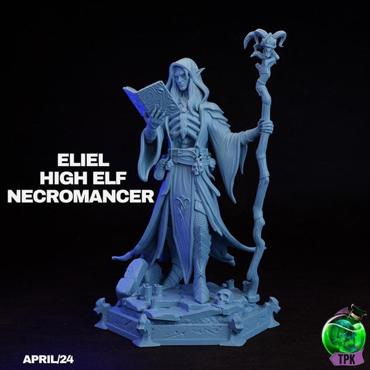 Eliel, High Elf Necromancer Dark Wizard | Tabletop Gaming Miniature or Bust | TPKLab