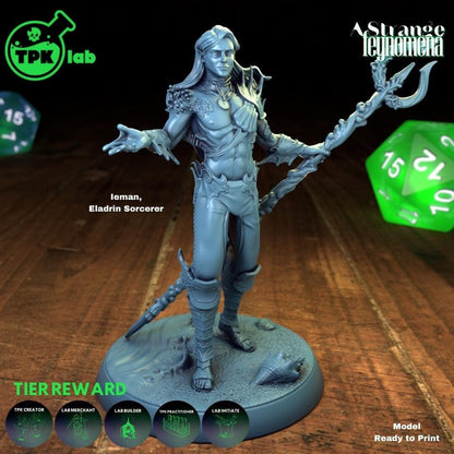 Triton Seafolk Eladrin Elf Sorcerer, Ieman & Janaina | Tabletop Gaming Miniature | TPKLab