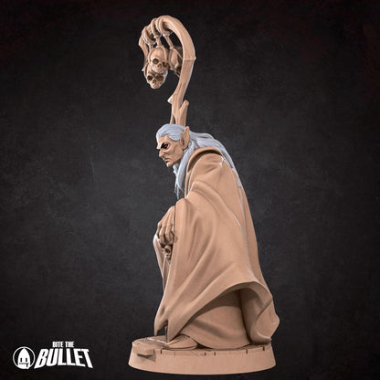 Vampire Sorcerer | TABLETOP SCALE | D&D TTRPG Miniature | Bite the Bullet