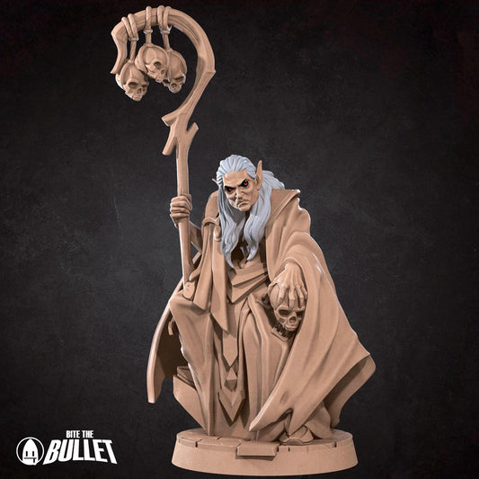 Vampire Sorcerer | TABLETOP SCALE | D&D TTRPG Miniature | Bite the Bullet