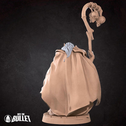 Vampire Sorcerer | TABLETOP SCALE | D&D TTRPG Miniature | Bite the Bullet