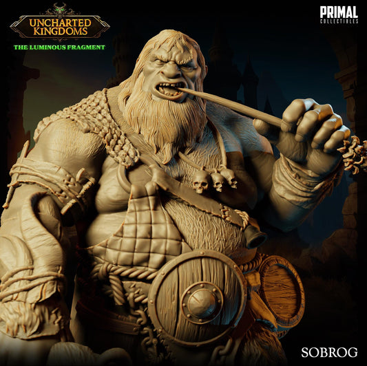 Hill Giant Sobrog | Tabletop Scale | TTRPG D&D Miniature | Primal Collectibles