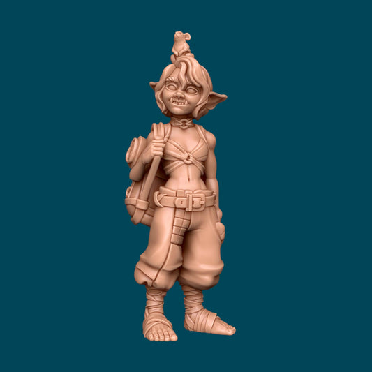 Nixie and Noodle, A Scrappy Duo | D&D TTRPG Miniature | Awkward Penguin Minis