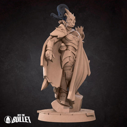 Vampire Hunter | TABLETOP SCALE | D&D TTRPG Miniature | Bite the Bullet