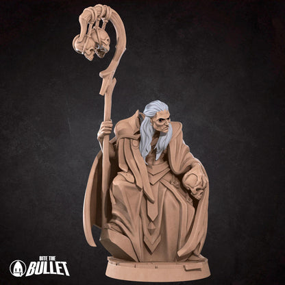 Vampire Sorcerer | TABLETOP SCALE | D&D TTRPG Miniature | Bite the Bullet