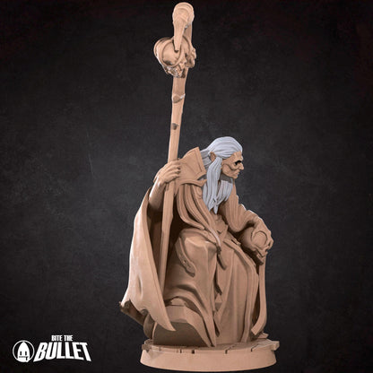 Vampire Sorcerer | TABLETOP SCALE | D&D TTRPG Miniature | Bite the Bullet