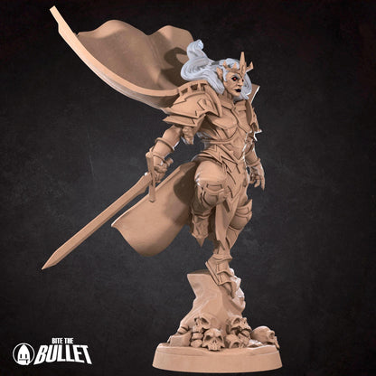 Vampire Paladin | TABLETOP SCALE | D&D TTRPG Miniature | Bite the Bullet