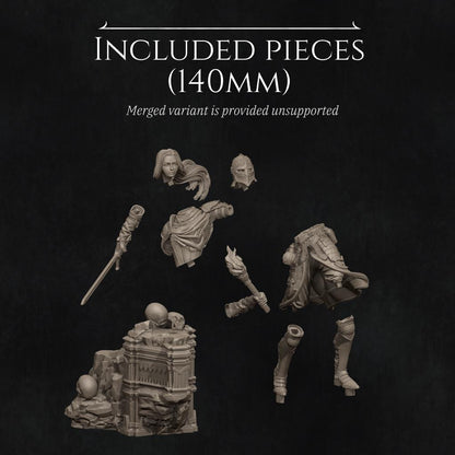 Nameless Hero | Garage Resin Kit Statue | D&D TTRPG Fantasy Miniature | Nerikson