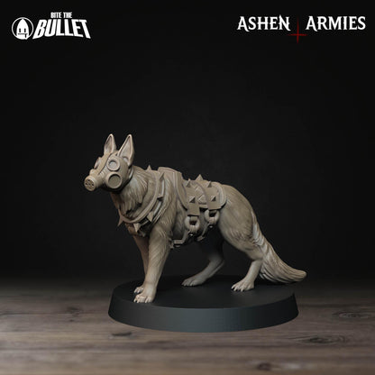 Sanctified Legion, Combat Dogs | TABLETOP SCALE | D&D Pathfinder TTRPG Miniature | Bite the Bullet
