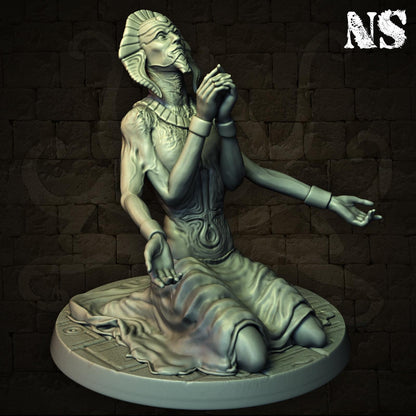 Cult of Nyarlathotep Collection | Shantak, Cultists, Lovecraft, Elder God | D&D Cosmic Horror Fantasy | NS Miniatures