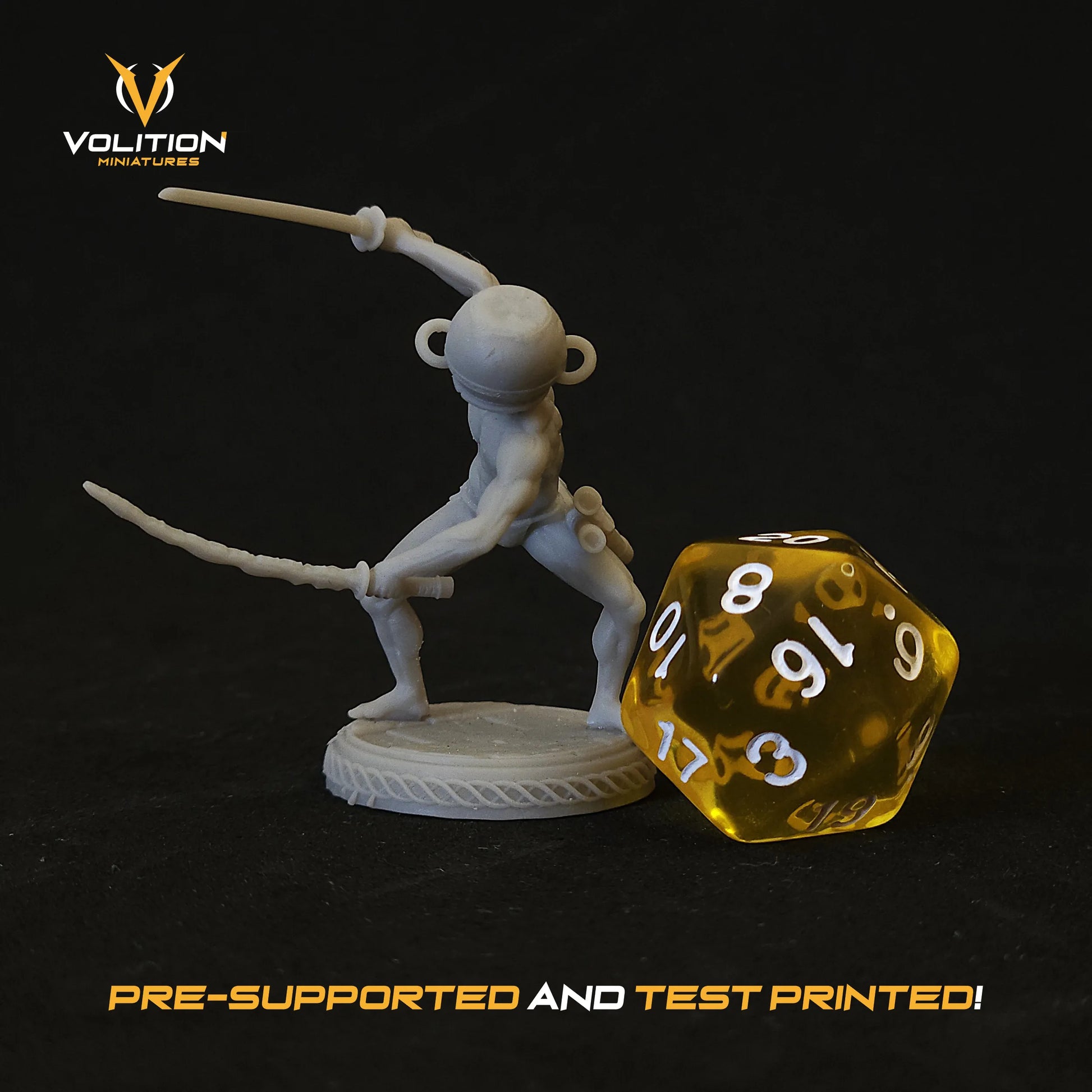 The Legend of Let Me Solo Her | Gaming Miniature TTRPG D&D | Volition Miniatures