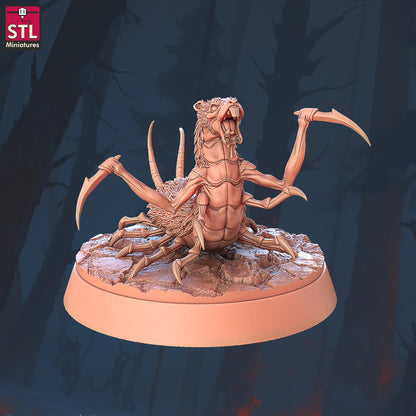 Amplipedes | Tabletop Scale | D&D TTRPG Miniature | STL Miniatures