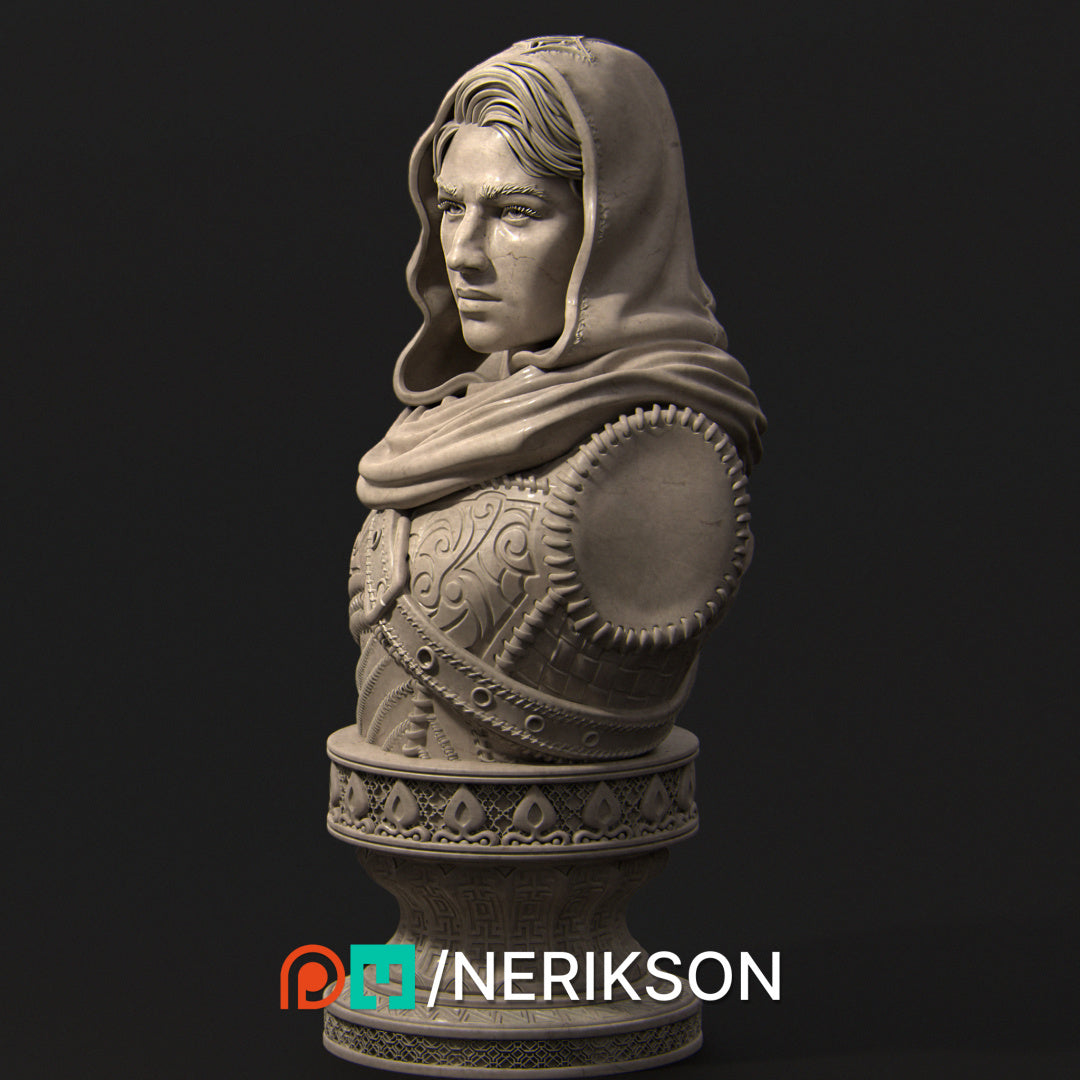 Nasir the Unseen Blade | Garage Resin Kit Statue or Bust | D&D TTRPG Fantasy Miniature | Nerikson