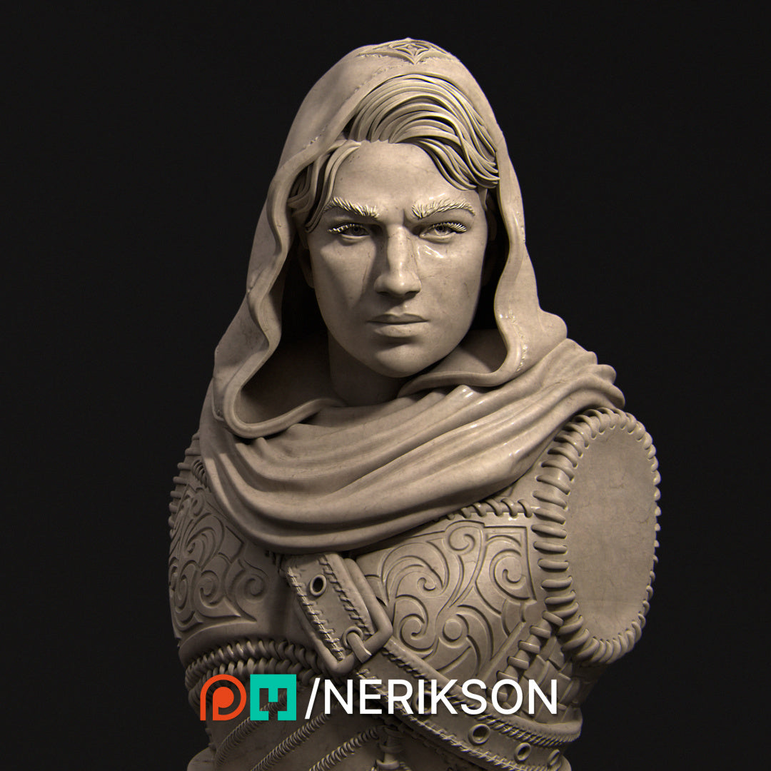 Nasir the Unseen Blade | Garage Resin Kit Statue or Bust | D&D TTRPG Fantasy Miniature | Nerikson