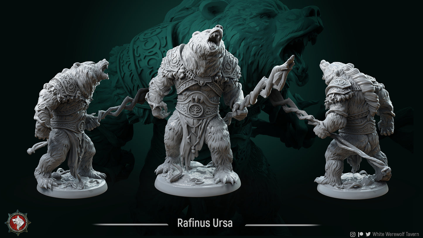 Rafinus Ursa Grim Grip, Druid Wild Shape Bear | Gaming or Display Miniature | White Werewolf Tavern
