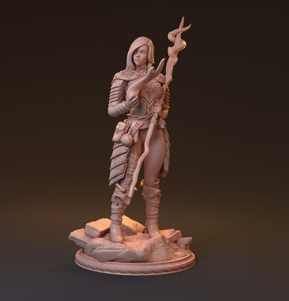 Shainor, Sorceress | D&D TTRPG Miniature | Hardwitch Games