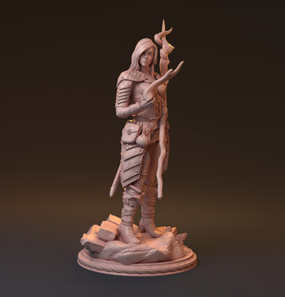 Shainor, Sorceress | D&D TTRPG Miniature | Hardwitch Games