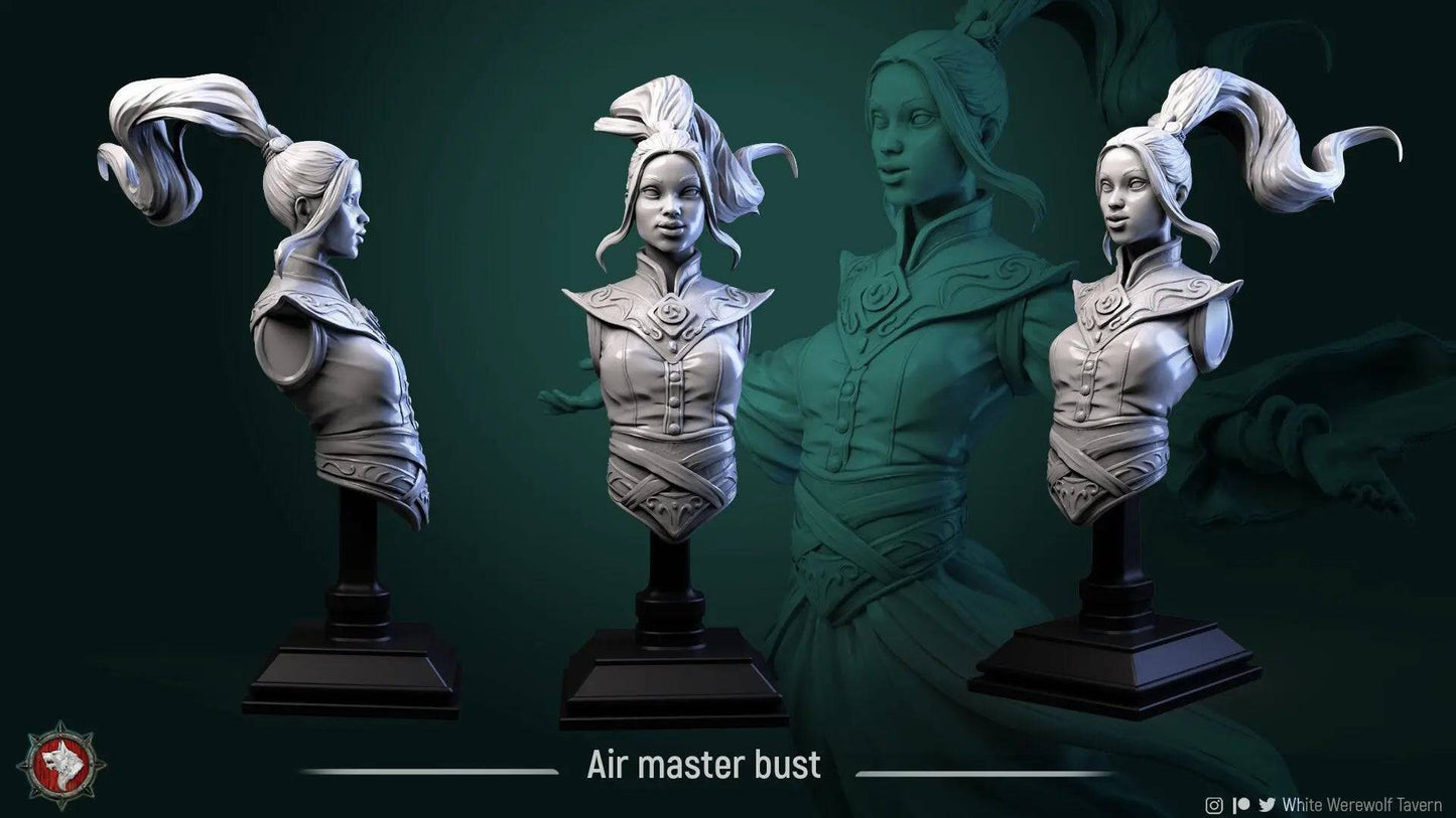 Air Master | Miniature Bust | White Werewolf Tavern - Tattles Told 3D