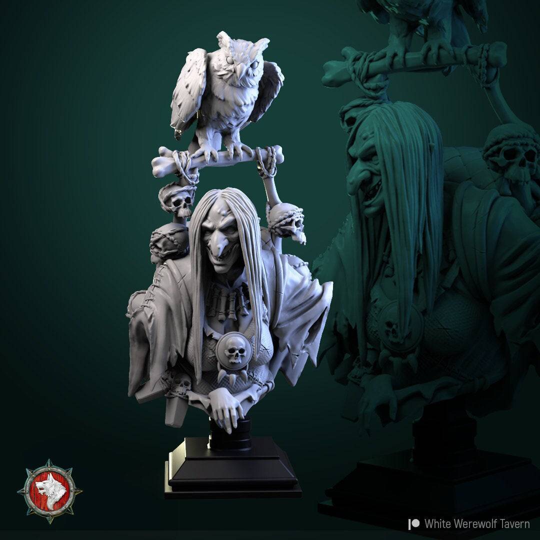 Ruth Braineater, Hag Witch | DnD Character Miniature Bust | White Werewolf Tavern - Tattles Told 3D