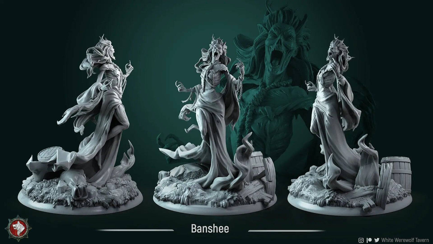 Carmela the Nightqueen Banshee | TTRPG Miniature | White Werewolf Tavern - Tattles Told 3D