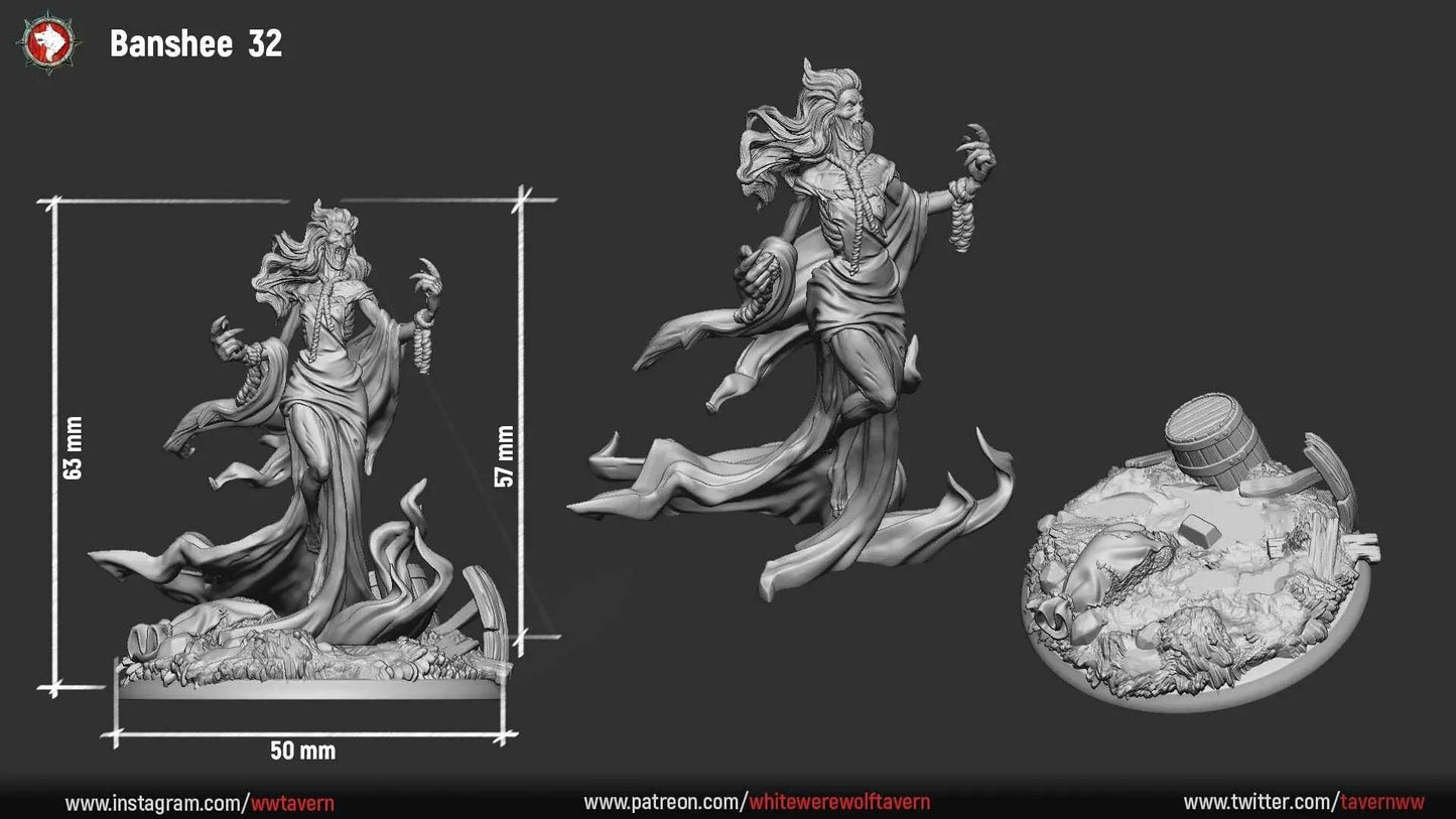 Carmela the Nightqueen Banshee | TTRPG Miniature | White Werewolf Tavern - Tattles Told 3D