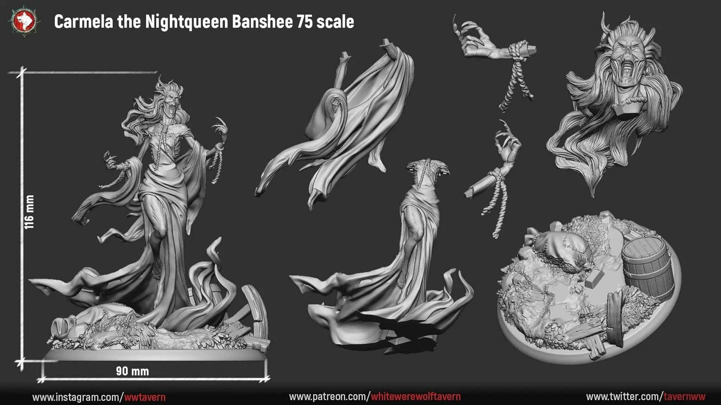 Carmela the Nightqueen Banshee | TTRPG Miniature | White Werewolf Tavern - Tattles Told 3D