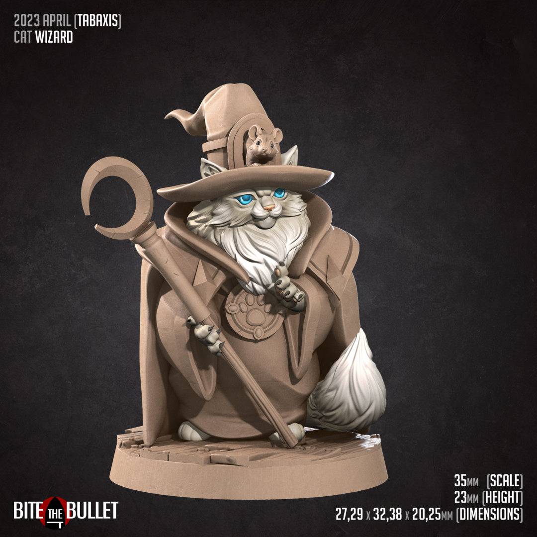 Cat Wizard | D&D Miniature TTRPG Character | Bite the Bullet - Tattles Told 3D