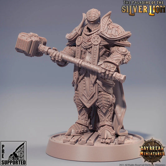 Chlodvig du Marteau Lourd, Human Paladin Cleric | TTRPG Miniature | Daybreak Miniatures - Tattles Told 3D