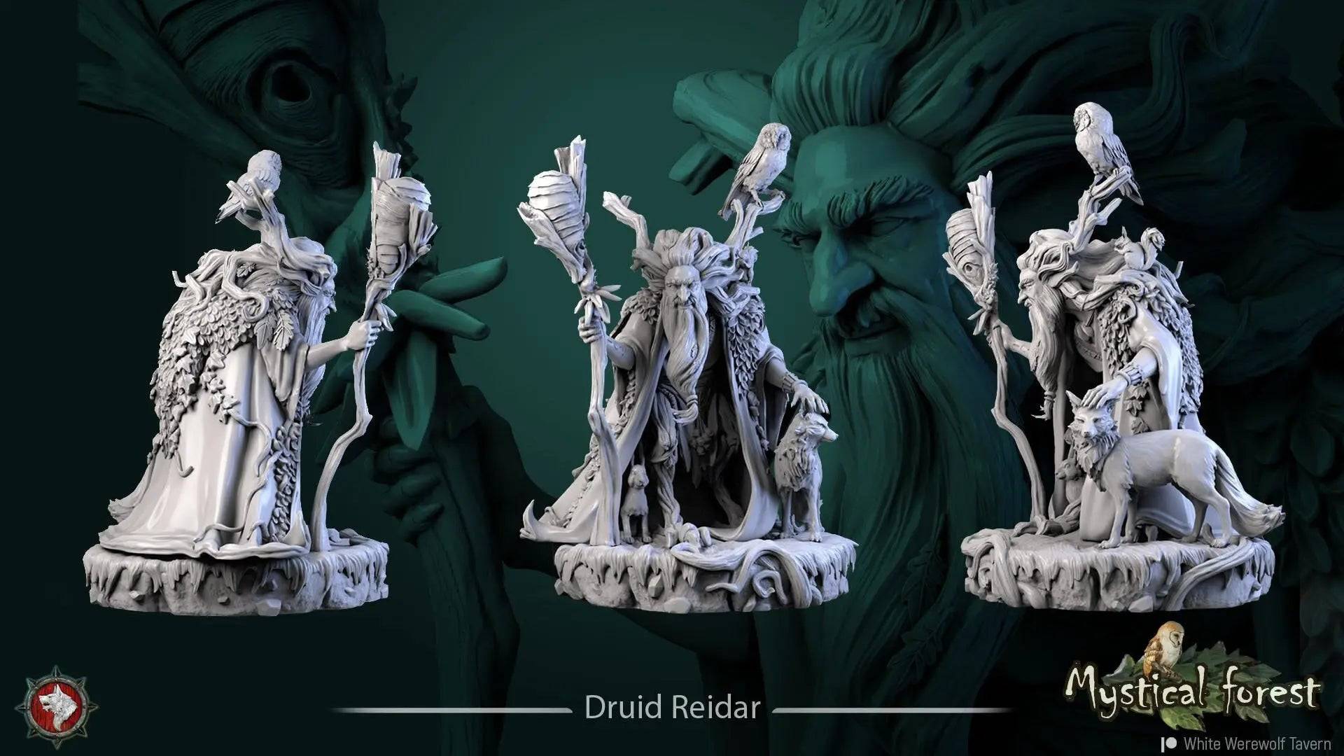 Druid Reidar | TTRPG Miniature | White Werewolf Tavern - Tattles Told 3D