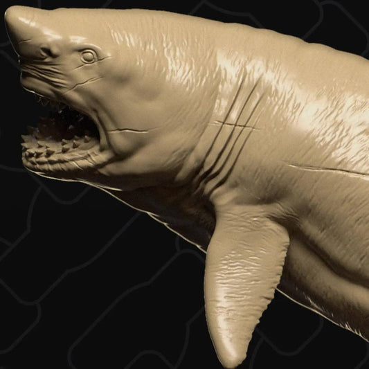 Great White Shark | D&D TTRPG Animal Miniature | Collective Studio - Tattles Told 3D