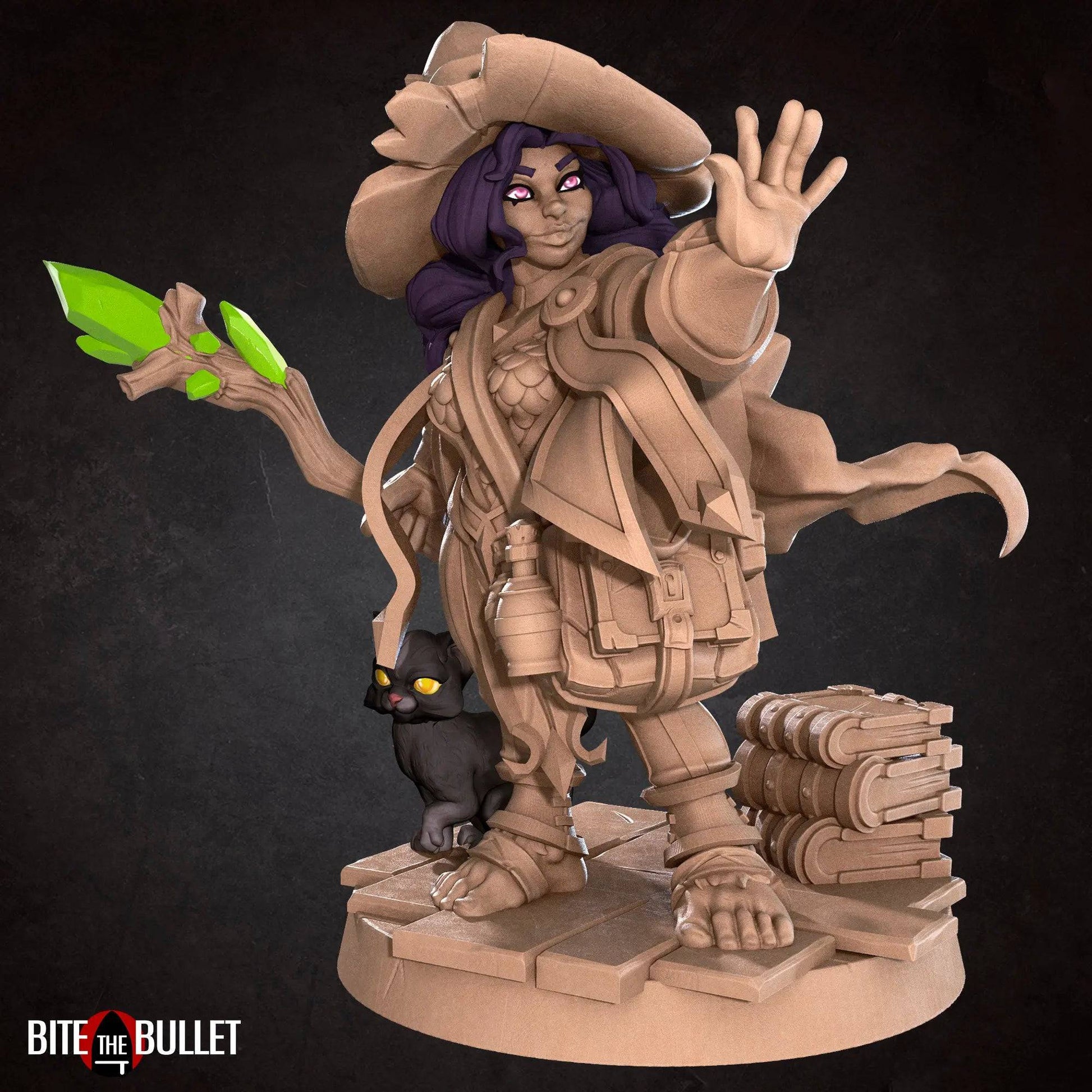 Halfling Hobbit Gnome Wizard with Cat | D&D Miniature TTRPG Character | Bite the Bullet - Tattles Told 3D