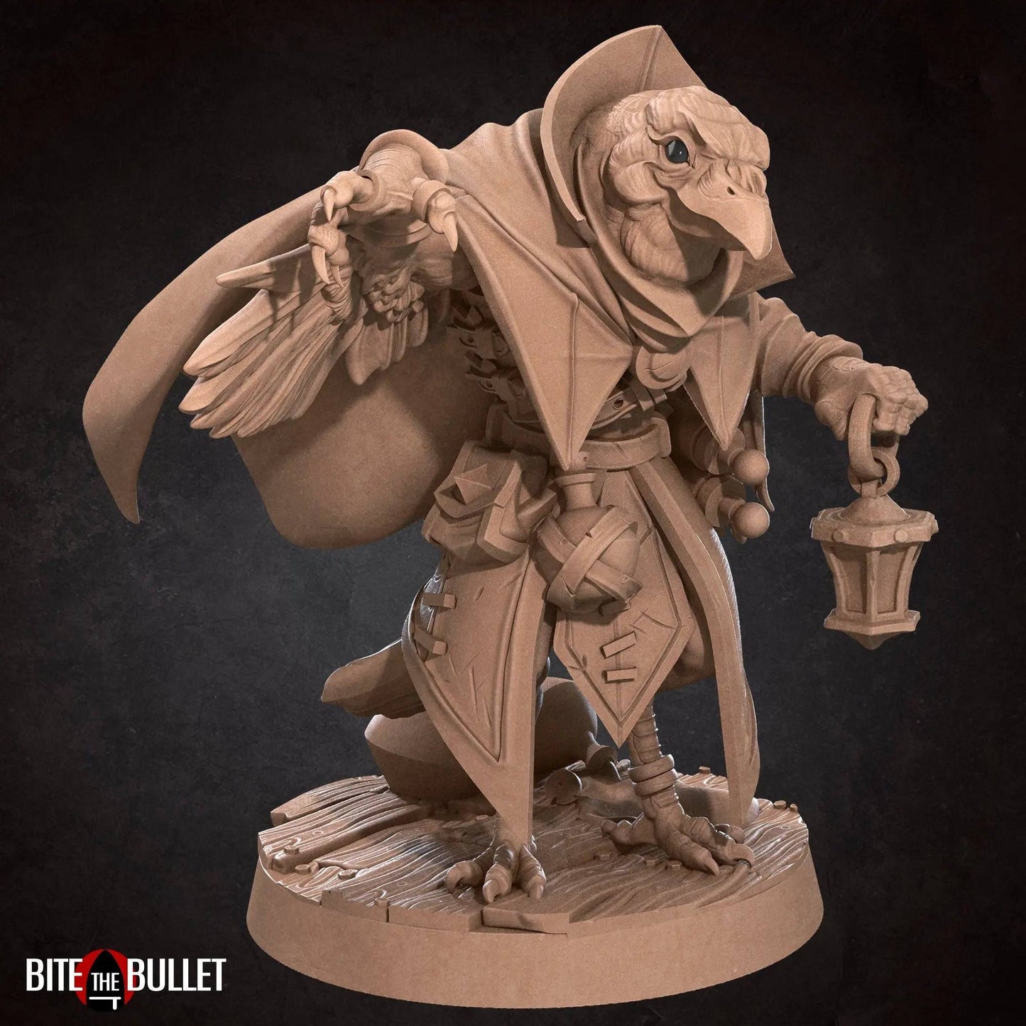 Kenku Sister Jen, Aarakocra Poison Maker Necromancer Doctor | D&D Miniature TTRPG Character | Bite the Bullet - Tattles Told 3D