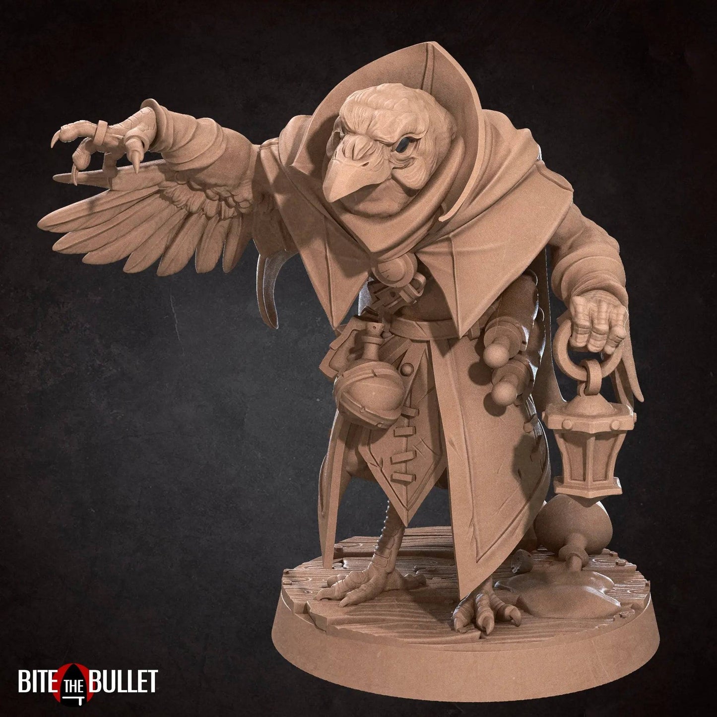 Kenku Sister Jen, Aarakocra Poison Maker Necromancer Doctor | D&D Miniature TTRPG Character | Bite the Bullet - Tattles Told 3D