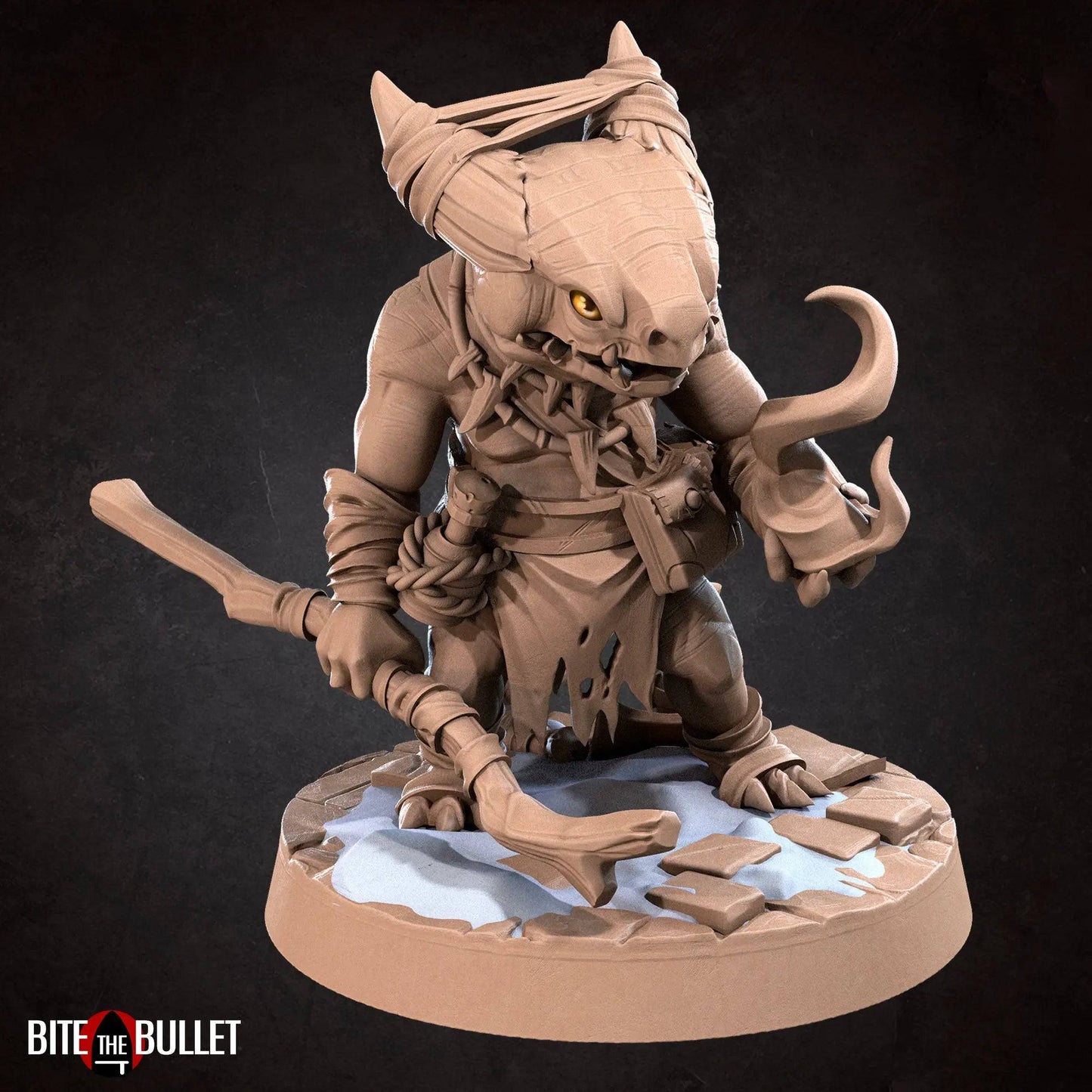 Kobold Sorcerer, Lizardfolk Mage Wizard Normal Version | D&D Miniature TTRPG Character | Bite the Bullet - Tattles Told 3D