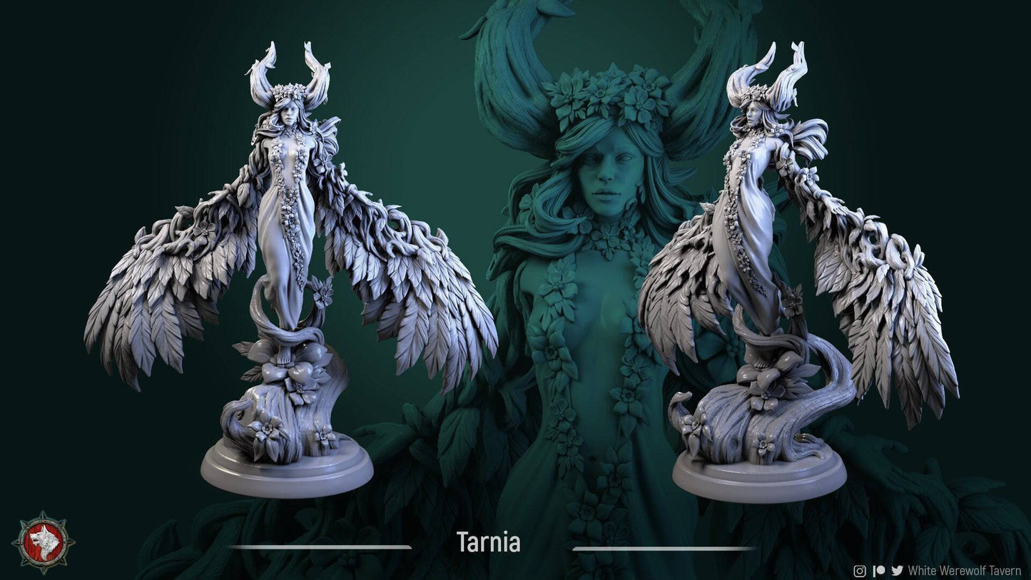 Tarnia | TTRPG Miniature | White Werewolf Tavern - Tattles Told 3D