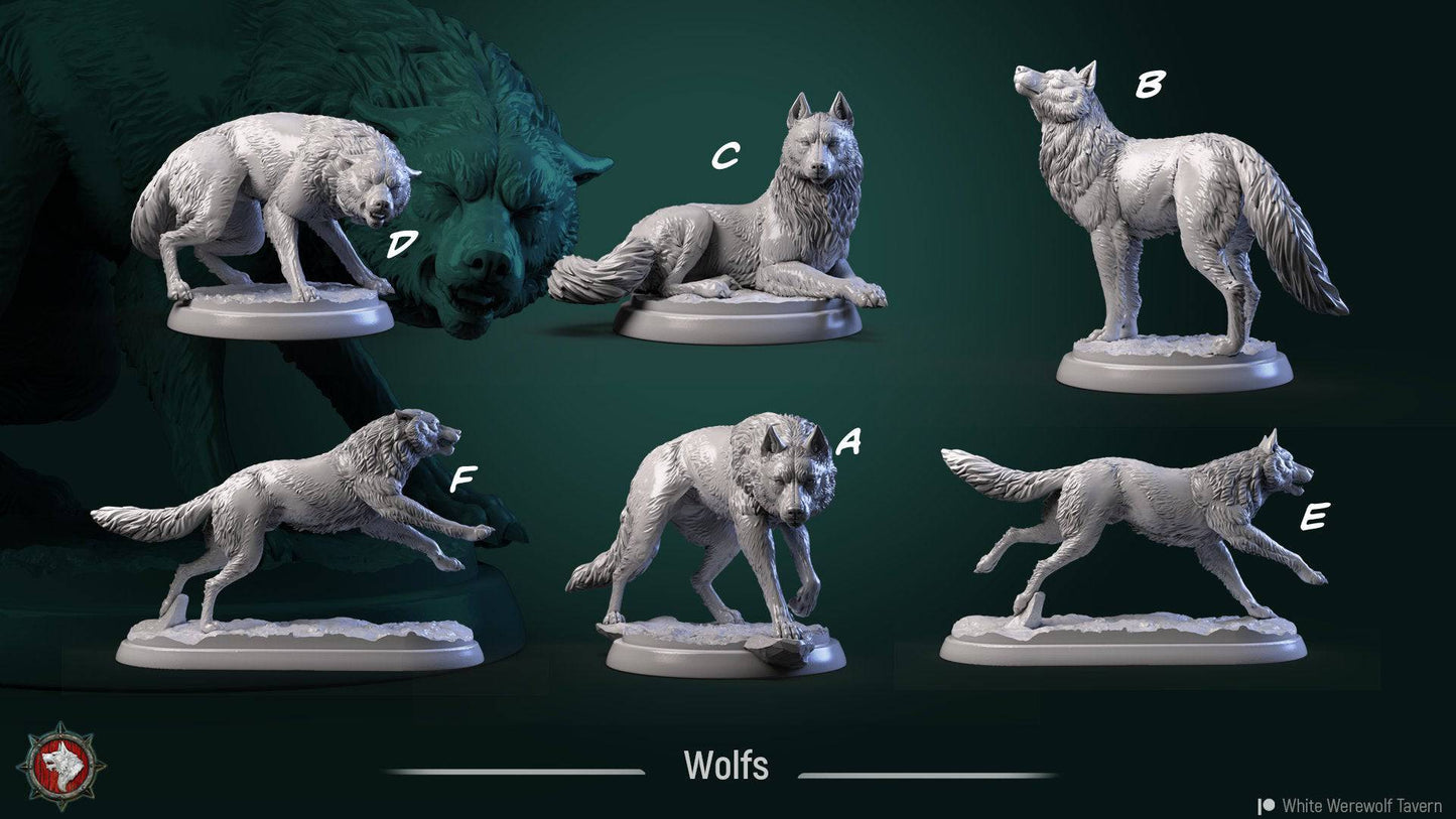 Wolves | TTRPG Miniature | White Werewolf Tavern - Tattles Told 3D